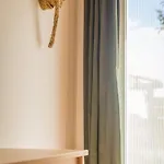 Costa Vicentina With Garden Pool And View *