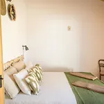 Costa Vicentina With Garden Pool And View Villa *