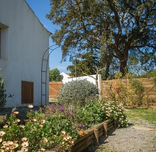 Costa Vicentina With Garden Pool And View *